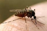 Комары заражают украинцев опасными 