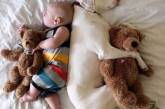 Новая звезда Instagram: собака, "влюбившаяся" в новорожденного малыша. ФОТО