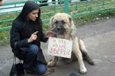 Украинские ветеринары устроили кетаминовый бунт