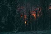 Зимняя спячка на атмосферных снимках &#216;ystein Aspelund. ФОТО
