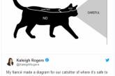 Минутка задорного смеха: в Twitter показали, как правильно гладить кошку. ФОТО