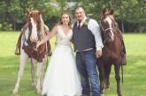 Веселая лошадь затмила невесту на свадебных снимках. ФОТО