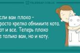 Свежие анекдоты о единственных причинах для женской обиды. ФОТО