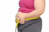 Ученые назвали главные причины ожирения