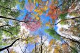 Прощание с осенью: необычные снимки со всего мира. Фото