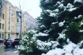 В Киеве ночью выпал первый снег. Видео