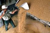 Президент потребовал отменить квоты на экспорт зерна из Украины