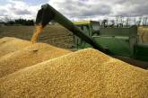 Всемирный банк раскритиковал квотирование экспорта зерна в Украине
