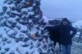 "Это Россия, детка": россиянин слепил новогоднюю елку из навоза. ФОТО