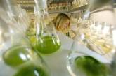 На спиртзаводах теперь будут производить биотопливо