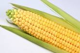 Лук и кукуруза поборются за звание главного овоща Нью-Йорка
