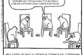 Жизнь глазами котов в смешных иллюстрациях. ФОТО