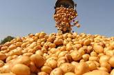Украина увеличила экспорт картофеля в 62 раза, импорт возрос в 4 раза