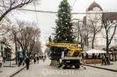 В Одессе на Дерибасовской уже нарядили елку. ФОТОРЕПОРТАЖ