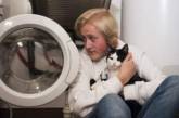 В Норвегии кот выжил после стирки в машинке