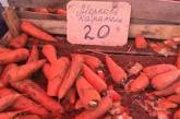 Курьез дня: в Крыму продают морковь-"каратель". ФОТО