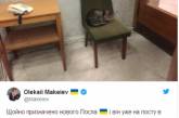 В украинском МИД «трудоустроили» кота Амбассадора. ФОТО