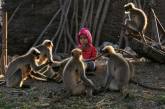 Двухлетний пацан дружит со стаей обезьян. ФОТО
