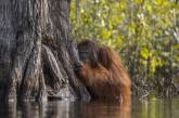 Фото с конкурса National Geographic, которые доказывают, что наша планета — режиссер самого грандиозного шоу во Вселенной