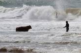 Английские спасатели достали из океана быка