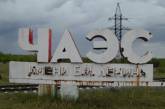 Чернобыльскую АЭС пытаются спасти от продажи