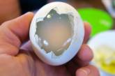 Вот как выглядят варенные пингвиньи яйца. ФОТО