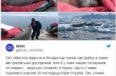 Сеть в восторге от морского котика, решившего вздремнуть в лодке украинских полярников. ФОТО