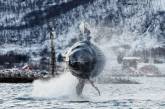Потрясающие фотографии китов и косаток у побережья Норвегии. ФОТО
