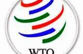Азаров собирается пересмотреть условия членства в ВТО