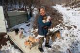 Женщина из Южной Кореи спасла более 200 собак и заботится о них. ФОТО