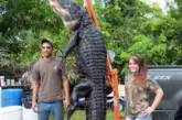Американец поймал на удочку 360-килограммового аллигатора