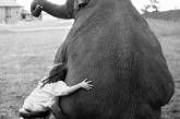 Дети и животные на снимках Джона Дрисдейла. ФОТО
