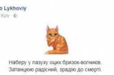 Соцсети потешаются над «весенней» погодой в Украине. ФОТО