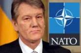 «Наша Украина»: Виктор Ющенко не является ставленником США