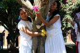Мексиканки вышли замуж за деревья. ФОТО