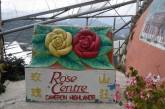 Центр Роз в Малайзии. ФОТО