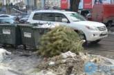 Не дождались мая: в Одессе выбросили новогоднюю елку. ФОТО