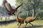 Ученые подтвердили легенду о гигантской птице-людоеде
