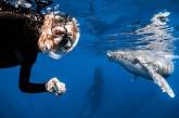 Захватывающие подводные фотографии от Нади Али. ФОТО