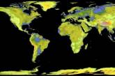 Опубликована самая точная топографическая карта Земли