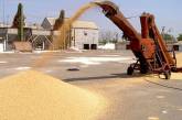 Американская торговая палата просит Януковича ветировать закон о возмещении НДС зернотрейдерам