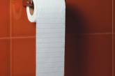 Американские экологи призывают отказаться от "мягкой" туалетной бумаги