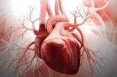 Кардиолог назвал два простых способа борьбы с учащенным сердцебиением