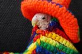 Поклонники шлют вязаную одежду лысому попугаю из Instagram. ФОТО