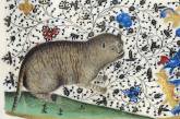 Коты на картинах художников средневековья. ФОТО