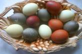 Как покрасить яйца на Пасху без вреда для здоровья