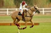Интересные факты о «короле спорта» — конном поло. ФОТО