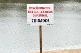 Голодные пираньи нападают на пляжи Бразилии и отгрызают отдыхающим пальцы