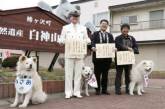 В Японии начальником железнодорожного вокзала стала собака. ФОТО