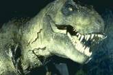 Тираннозавры массово гибли из-за воспаления горла
